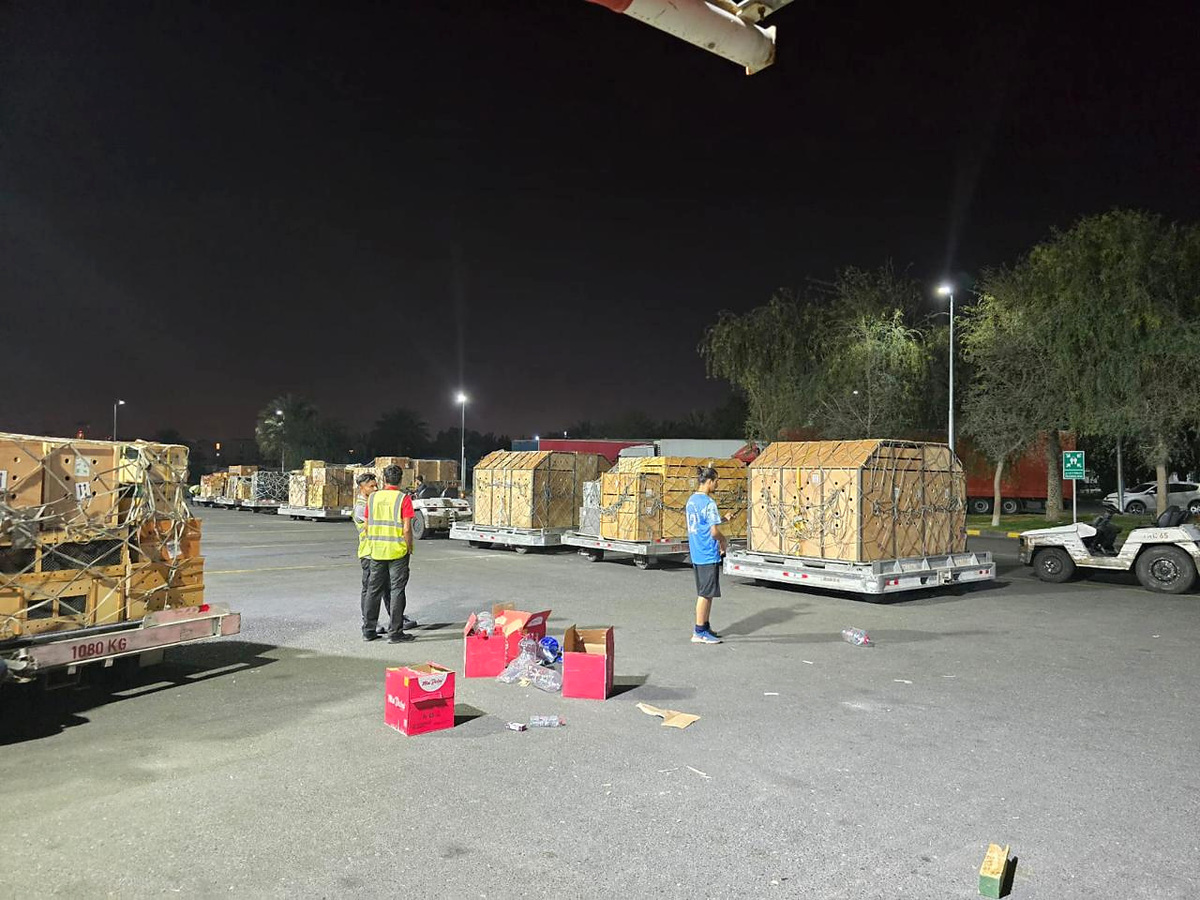 Cargo gallery photo